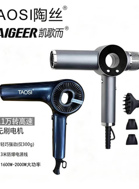 凯歌而陶丝吹风机高速无刷电吹风恒温速干轻巧强劲2000W发廊家用