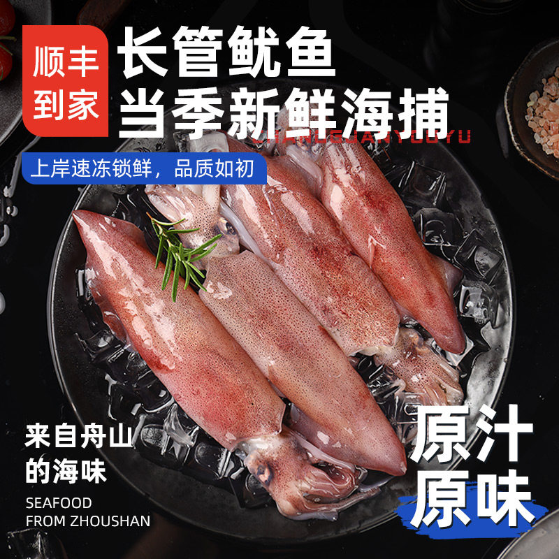 舟山特产新鲜鱿鱼新鲜冷冻笔管鱿鱼生鲜火箭鱿鱼大管鱿鱼长管鱿鱼