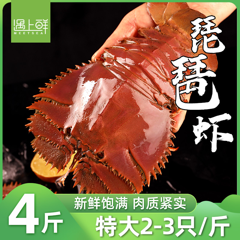 【当季新品】舟山大琵琶虾鲜活特大速冻九齿扇虾海鲜琶琵虾枇杷虾