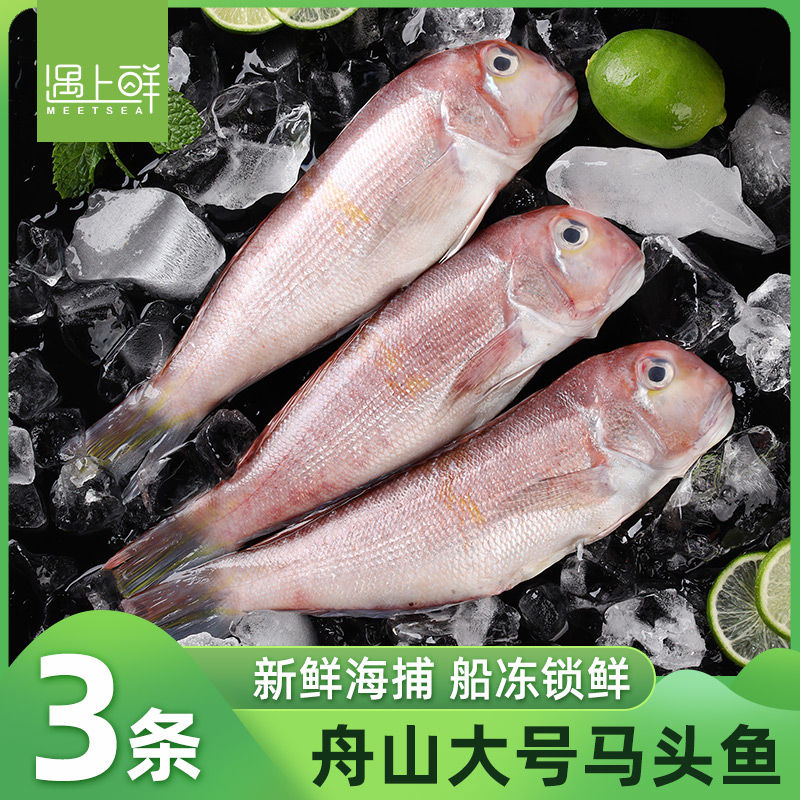 【遇上鲜】舟山新鲜马头鱼3条装