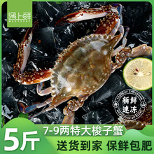 【速冻梭子蟹】舟山梭子蟹鲜活特大螃蟹海鲜新鲜水产冷冻送货到家