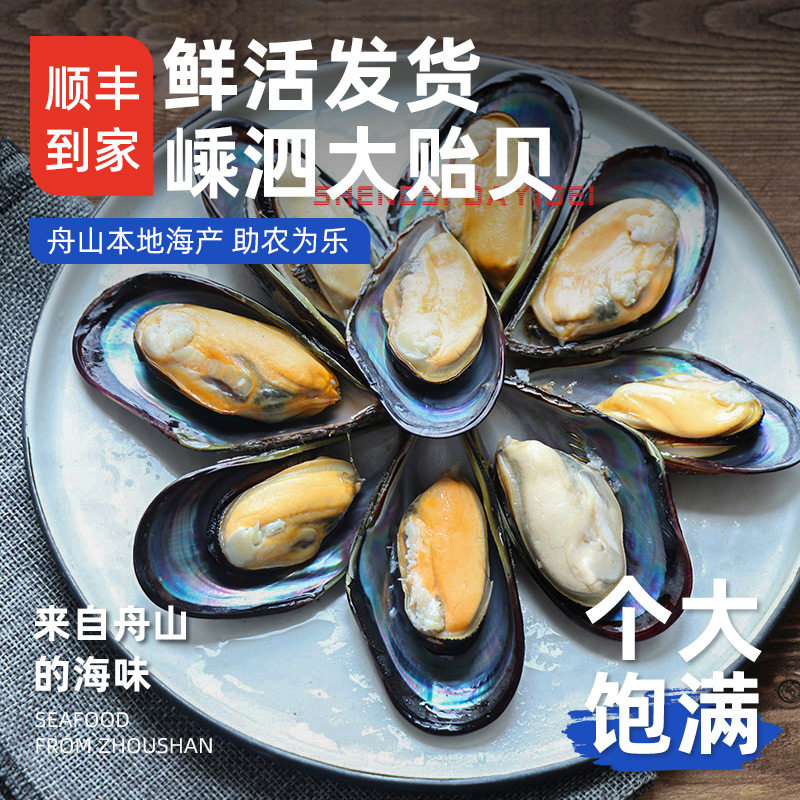 舟山嵊泗岛青口贝鲜活海虹鲜活淡菜新鲜贻贝鲜活特大海鲜顺丰到家