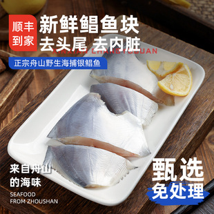 舟山野生新鲜鲳鱼块冷冻银鲳鱼特大白鲳鱼东海鲳鱼去内脏鳊鱼昌鱼