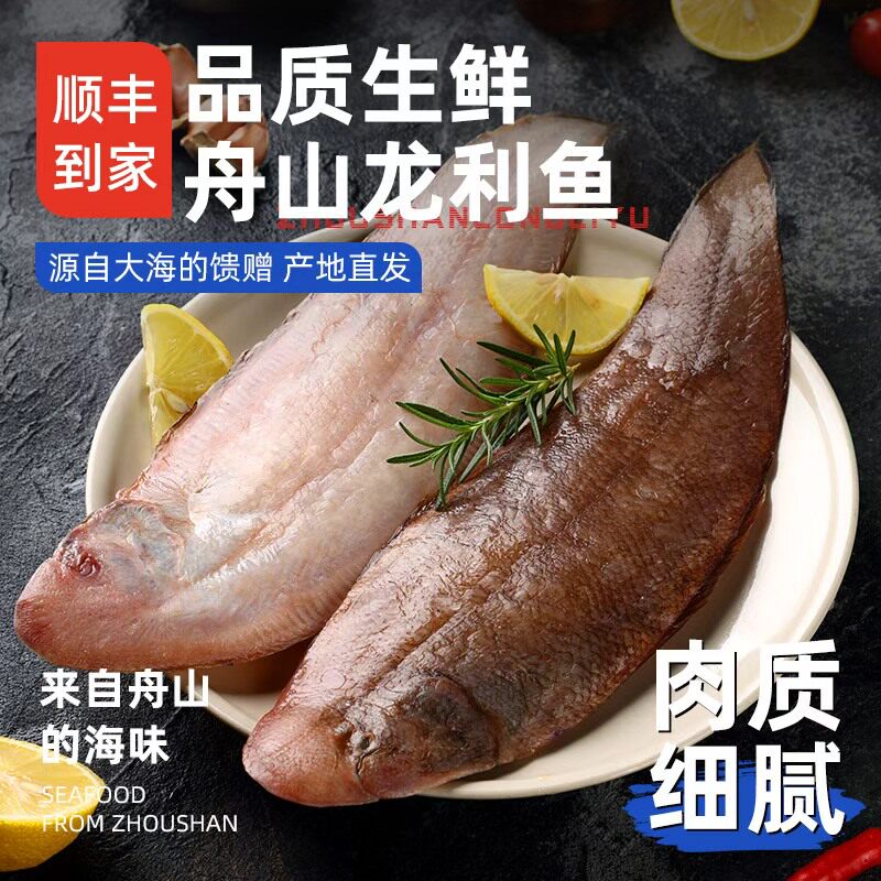 舟山野生龙利鱼/玉秃鱼生鲜冷冻图片