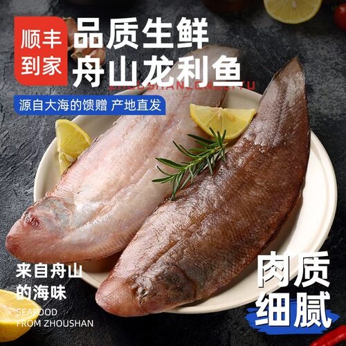 舟山野生龙利鱼/玉秃鱼生鲜冷冻