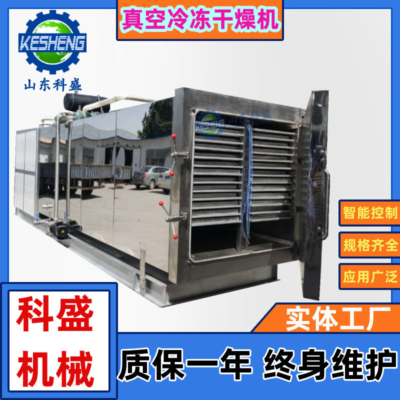 真空冷冻干燥机 柠檬片秋葵鸡鸭肉粒猫狗粮冻干机 茶叶真空冻干机