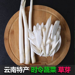 建水草芽云南建水特产象牙菜新鲜蔬菜十二道锋味舌尖美食鲜嫩脆纯