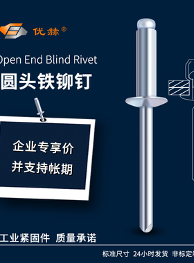 全铁拉铆钉铁拉钉碳钢抽芯铆钉蓝白锌黑锌GB12618.2圆头钢铆钉