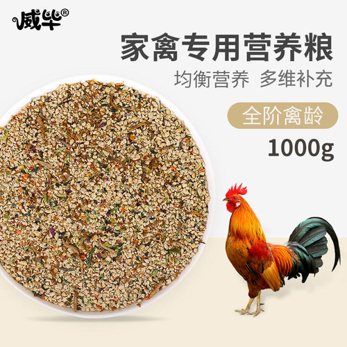 家禽宠物鸡鸭饲料产蛋营养混合粮