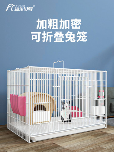 毛蕊花属
