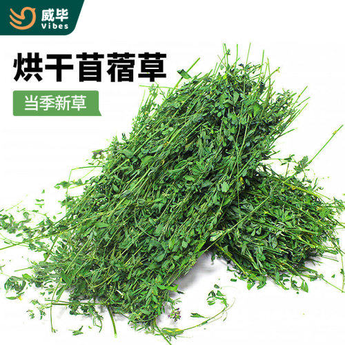 2022当季新草吃更新鲜的