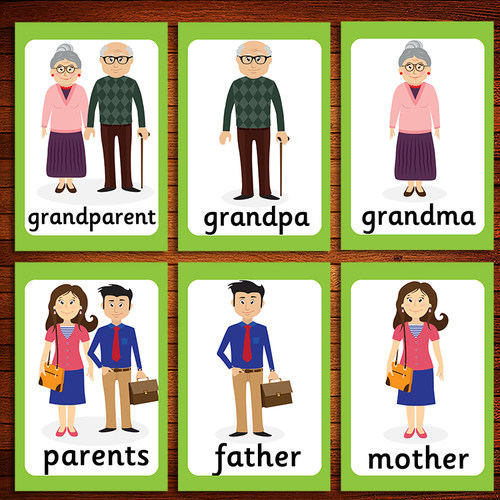 英语家庭成员早教卡片幼儿启蒙