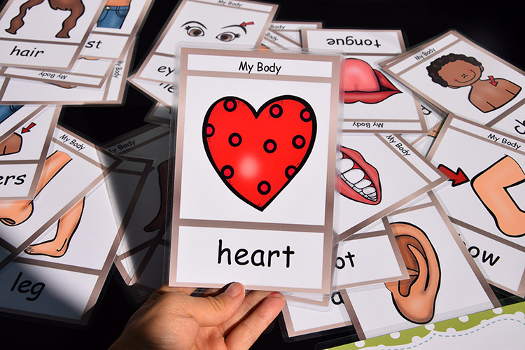 Body身体部位英语单词卡片闪卡训练幼儿童园教师教具英文早教