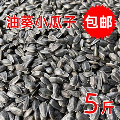 生黑珍珠小瓜子油嗑油葵籽鹦鹉鸟食饲料仓鼠零食鸟粮鸽粮5斤包邮