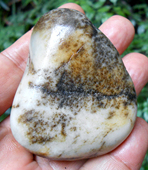 天然美皮新疆和田玉籽料原石125克包快递