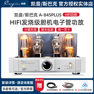 Cayin/凯音/斯巴克 A-845PLUS 发烧胆机电子管功放 家用胆机功放