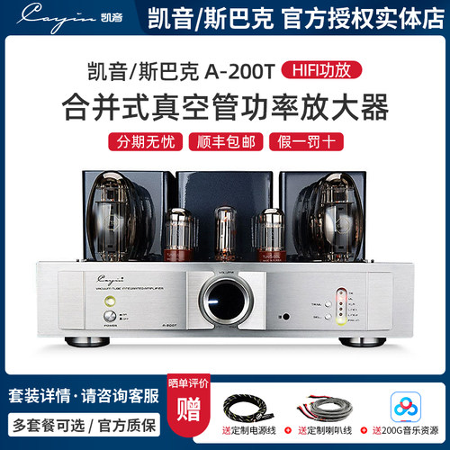 Cayinhifi合并式电子管胆机功放