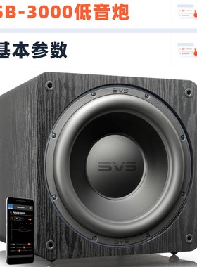 美国SVS ound定制系列SB3000有源超重低音炮PB3000家庭影院音箱