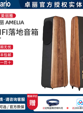 意大利Chario/卓丽 AMELIA 飞翔系列-艾美丽雅 家用HIFI落地音箱