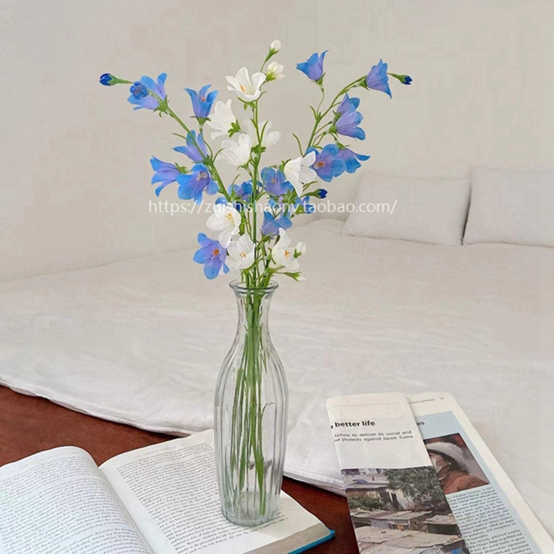 ins风简约透明小玻璃茶几花瓶