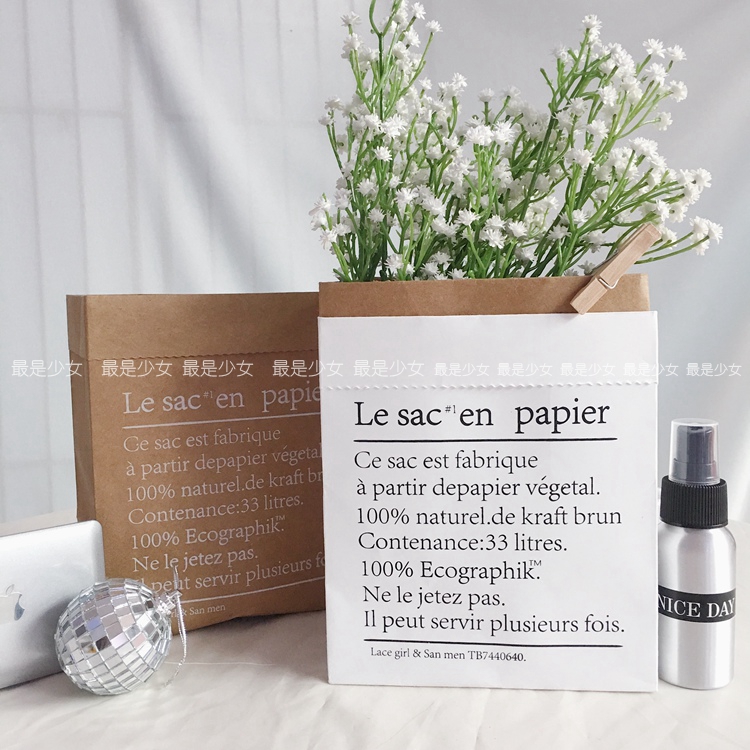 ins牛皮纸袋北欧风法文牛皮收纳纸袋迷你家居杂货寝室办公收纳
