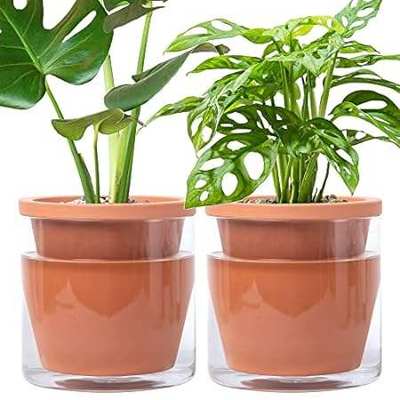 D'vine Dev 6 Inch Design Self Watering Pot for Indoor Pla