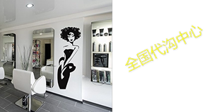 Wall Decal Vinyl Art Decor Sticker Design Stylist Master Ha