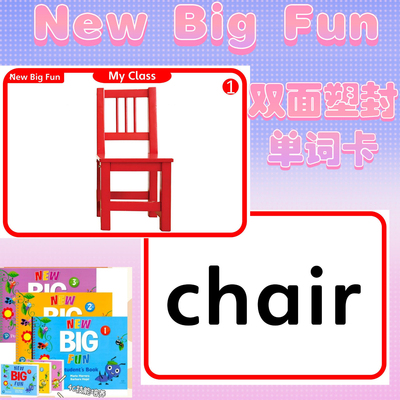 朗文培生NewBigFun英语单词卡儿童启蒙NBF塑封教学闪卡教师教具