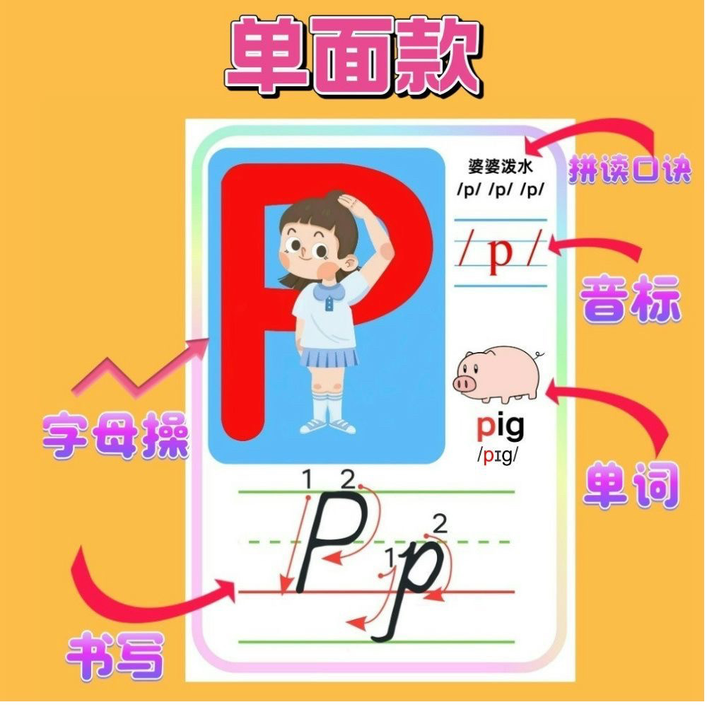 自然拼读26个字母操卡幼儿英语启蒙TPR闪卡英语单词塑封单词卡