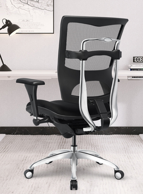 享耀家H6大体重人体工学椅电脑椅(体重110-200kg)工学至尊护腰