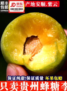 现货正宗贵州蜂糖李5斤现摘现发