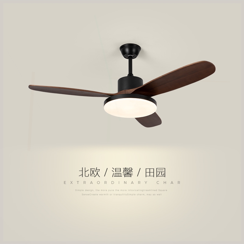 风扇灯客厅灯新款创意中古风复古