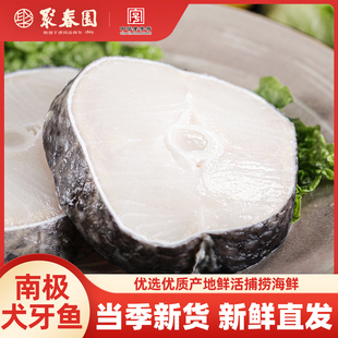 聚春园x海名威进口银鳕鱼（南极犬牙鱼）鱼块鱼扒生鲜冻新鲜鱼肉