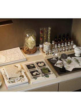 香水绿植标本主题样板房摆件