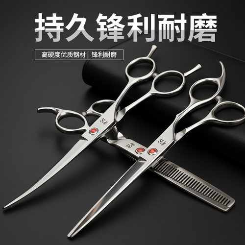狗狗剪毛宠物狗美容专业泰迪