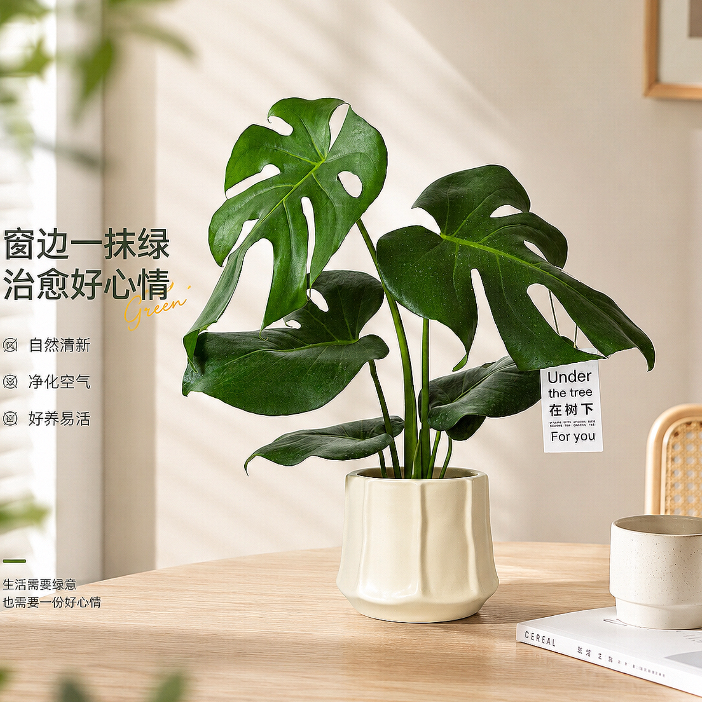 龟背竹盆栽办公室内桌面绿植摆件客厅装饰北欧高级感软装观叶植物图片