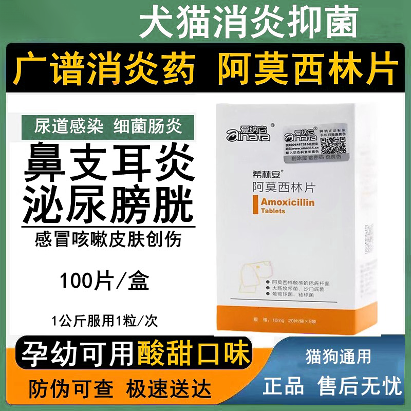 爱纳它希林安阿莫西林片宠物狗狗犬猫咳嗽呼吸道感染猫鼻支消炎药
