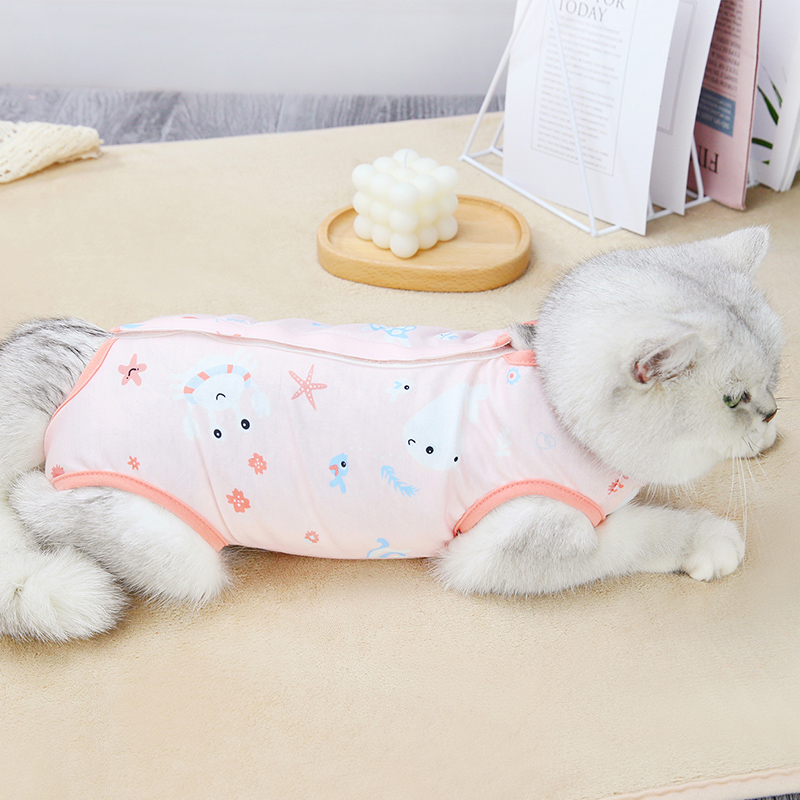 猫咪手术服母猫 绝育衣服断奶舔代替伊丽莎白圈透气绝育服