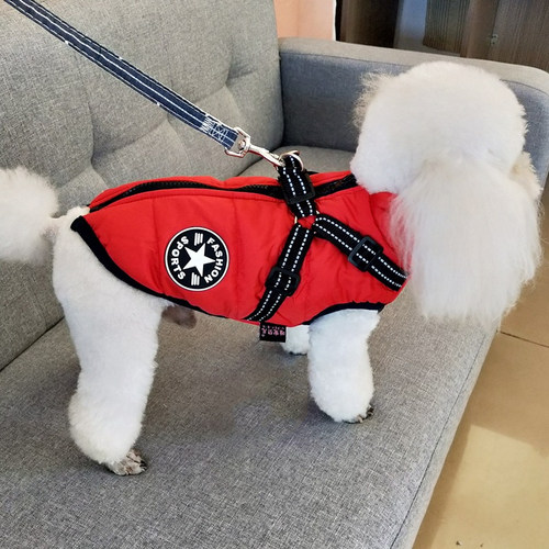 狗狗衣服泰迪中型秋冬胸背带