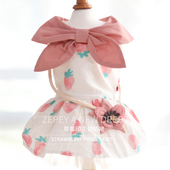 小狗狗衣服夏季 泰迪宠物博美柯基比熊小型犬幼犬防晒猫咪裙子 薄款