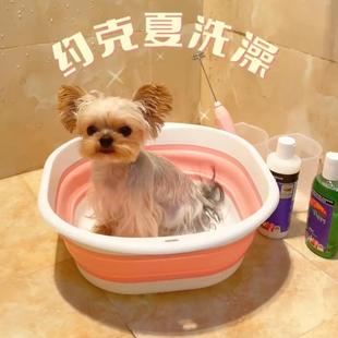 宠物小狗狗比熊专用洗澡盆可折叠约克夏泰迪浴盆泡澡桶小型犬用品