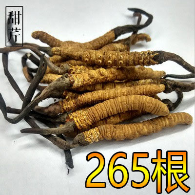 265根装 西藏那曲正品冬虫夏草 正宗虫草 无断草 3根1g