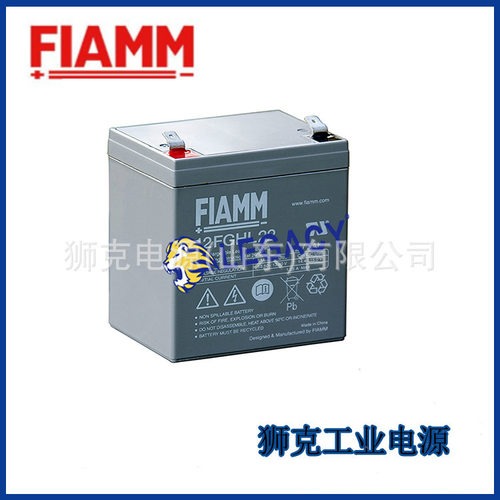 非凡Fiamm蓄电池12SP42铅酸阀控式12V42AH应急照明电力系统