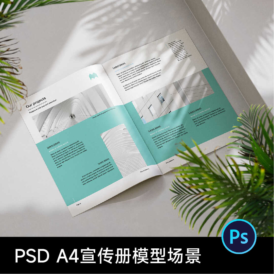 明媚场景A4画册宣传册手册杂志效果图展示模板PS设计素材资源PSD