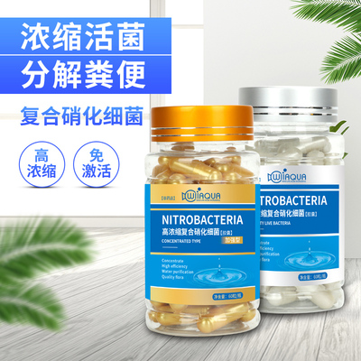 硝化活菌消化胶囊净化