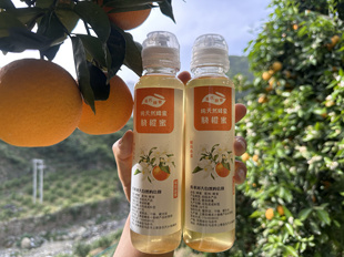 蜂农小姜蜂蜜无加工 500g×2  脐橙蜜槐花蜜枣花蜜荆条蜜五倍子蜜