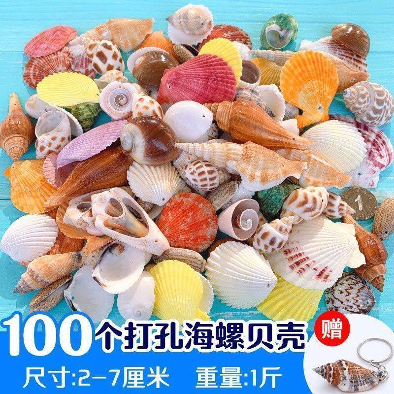 天然贝壳海螺混装儿童手工diy材料包鱼缸造景装饰摆件风铃漂流瓶