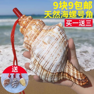 【螺贝艺】天然海螺号喇叭口哨超大海螺壳贝壳哨子儿童玩具小螺号
