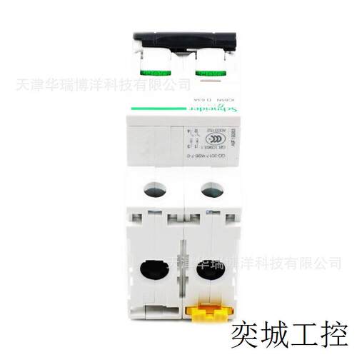 断路器2P小型空气开关63A断路器iC65N动力微断D曲线A9F19263