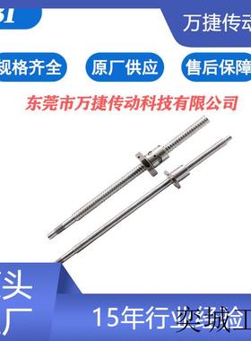 厂家直供滚珠丝杆SFS系列SFS01205-2.8精密研磨级滚珠螺杆